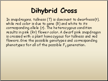 Dihybrid Cross