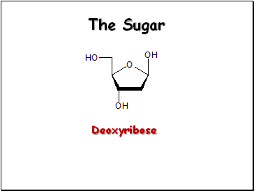 The Sugar