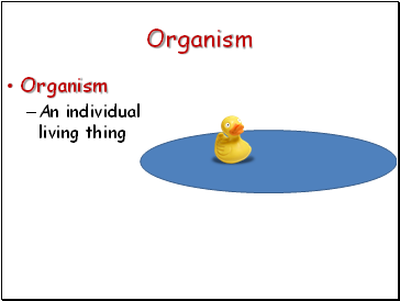 Organism