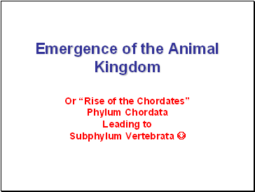 Emergence of the Animal Kingdom