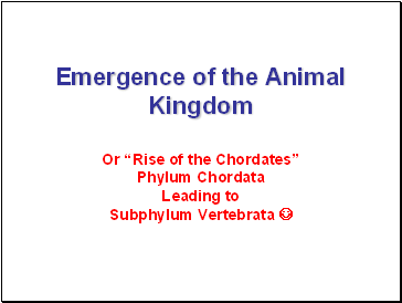 Emergence of the animal kingdom