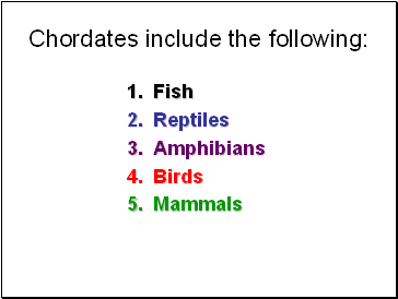 Chordates include the following: