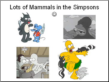Lots of Mammals in the Simpsons 