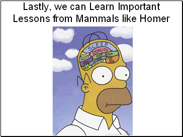 Lastly, we can Learn Important Lessons from Mammals like Homer