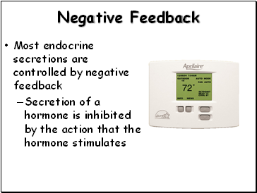 Negative Feedback