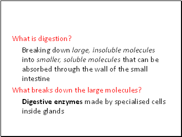 What is digestion?