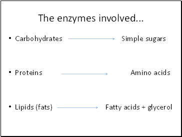 The enzymes involved .