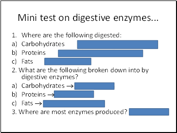 Mini test on digestive enzymes .
