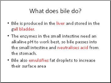 What does bile do?