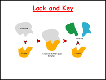 Lock and Key