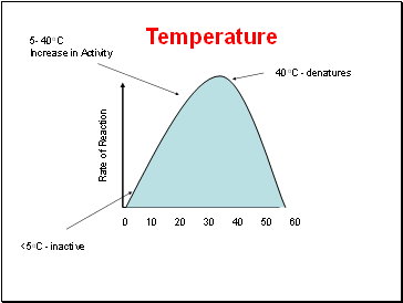 Rate of Reaction