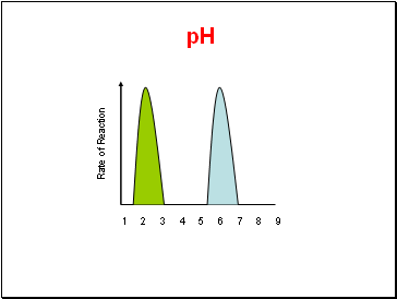 Rate of Reaction