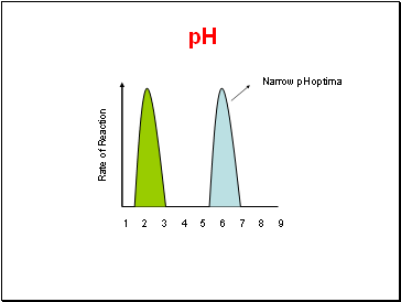 Rate of Reaction