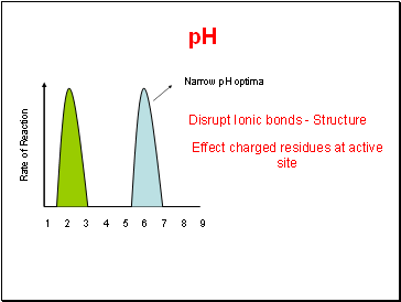 Rate of Reaction