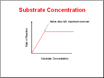 Rate of Reaction