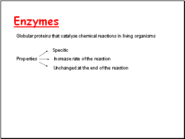 Enzymes