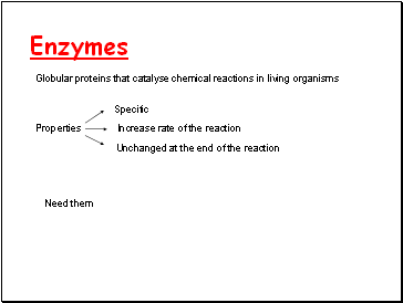 Enzymes