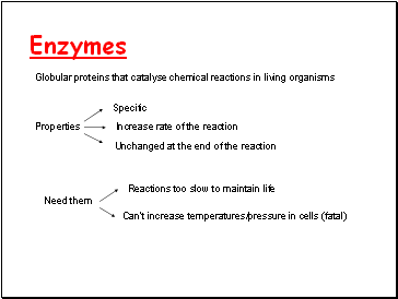 Enzymes