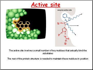 Active site