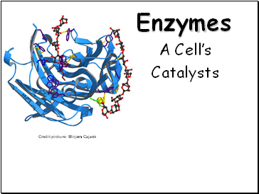 Enzymes