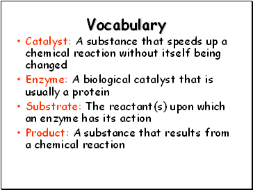 Vocabulary