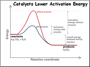 Catalysts Lower Activation Energy
