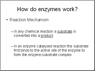 How do enzymes work?