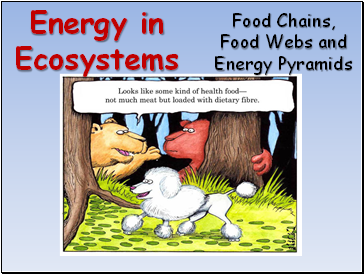 Energy in Ecosystems