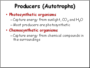 Producers (Autotrophs)
