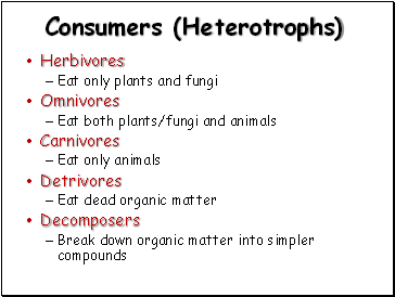 Consumers (Heterotrophs)