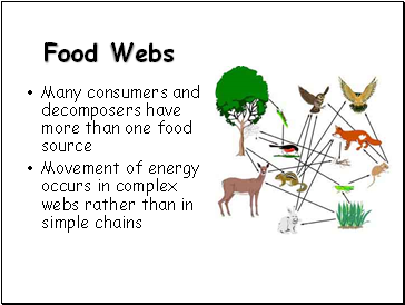 Food Webs