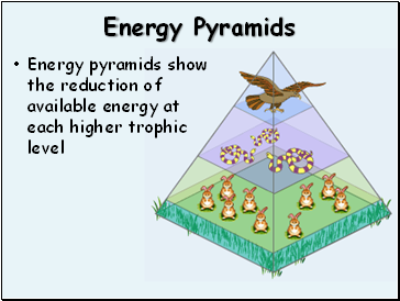 Energy Pyramids