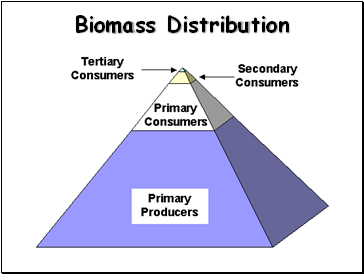 Biomass Distribution