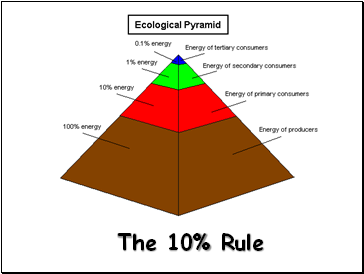 The 10% Rule