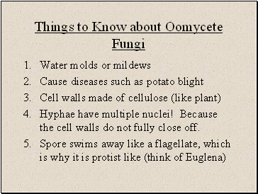 Things to Know about Oomycete Fungi