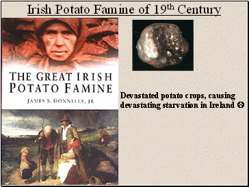 Irish Potato Famine of 19th Century