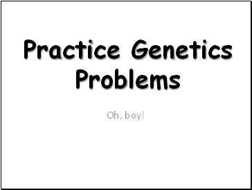 Genetics Practice Problems