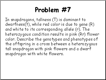 Problem #7