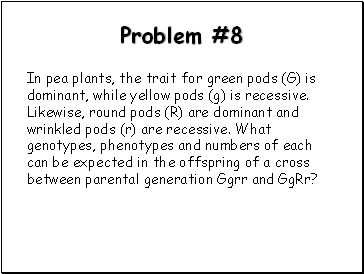 Problem #8