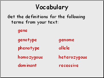 Vocabulary