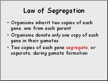 Law of Segregation