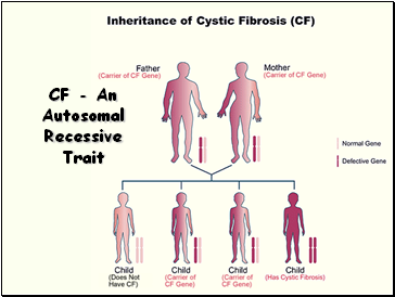 CF - An Autosomal Recessive Trait