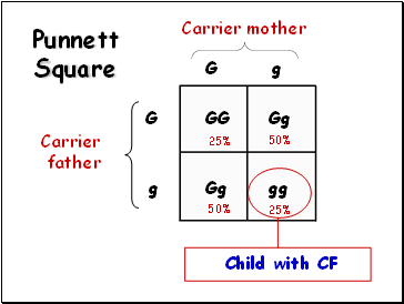 Punnett Square