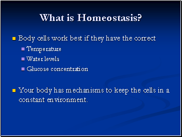 What is Homeostasis?