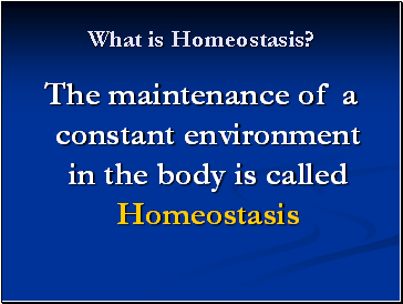 What is Homeostasis?