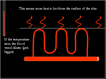 If the temperature rises, the blood vessel dilates (gets bigger).