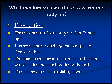 What mechanisms are there to warm the body up?