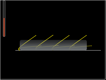 Homeostasis of the body