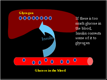 If there is too much glucose in the blood, Insulin converts some of it to glycogen