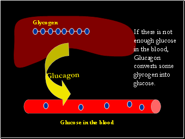 If there is not enough glucose in the blood, Glucagon converts some glycogen into glucose.